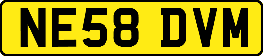 NE58DVM