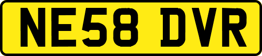 NE58DVR