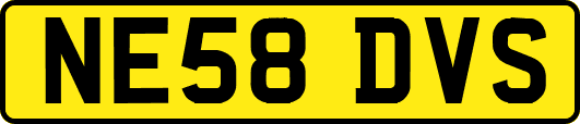 NE58DVS