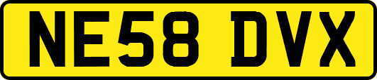 NE58DVX