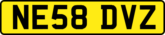 NE58DVZ