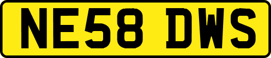 NE58DWS