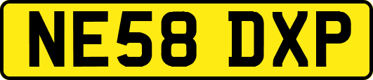 NE58DXP