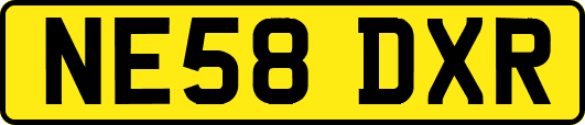 NE58DXR