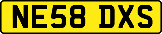 NE58DXS