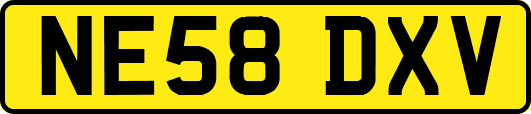 NE58DXV