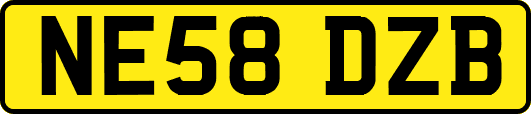 NE58DZB