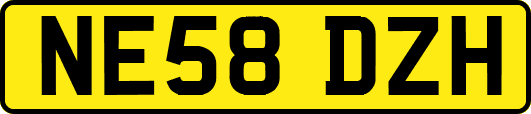NE58DZH