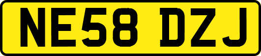 NE58DZJ