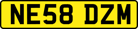 NE58DZM