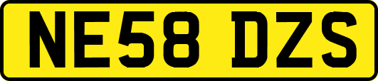 NE58DZS