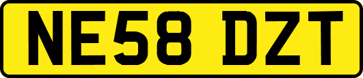 NE58DZT
