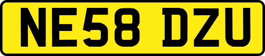 NE58DZU