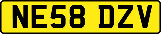 NE58DZV