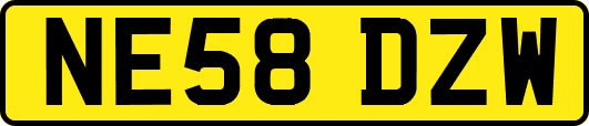 NE58DZW