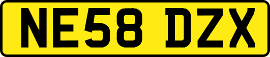 NE58DZX