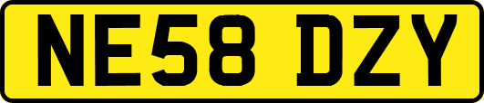 NE58DZY