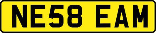 NE58EAM