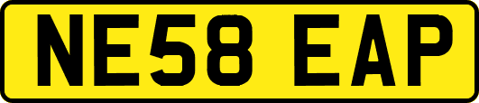NE58EAP
