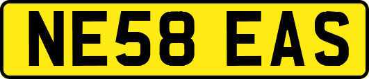 NE58EAS
