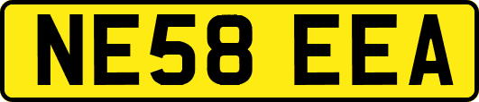 NE58EEA