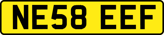 NE58EEF