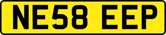 NE58EEP