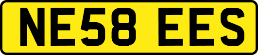 NE58EES