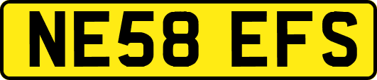 NE58EFS