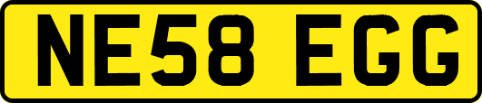 NE58EGG