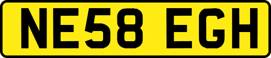 NE58EGH