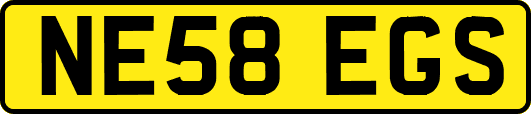 NE58EGS