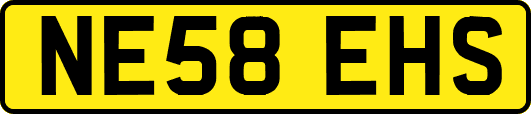 NE58EHS