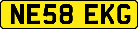 NE58EKG