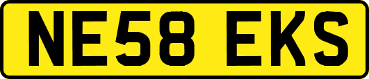 NE58EKS