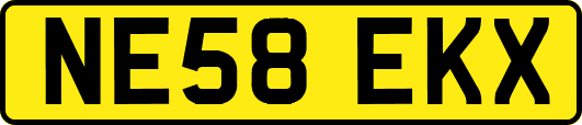 NE58EKX