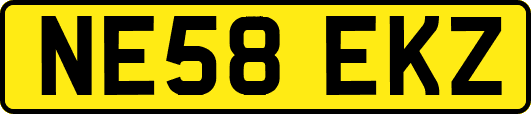 NE58EKZ