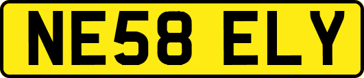 NE58ELY