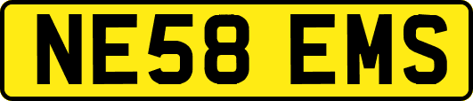NE58EMS