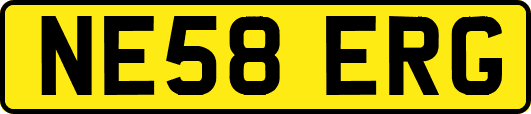 NE58ERG