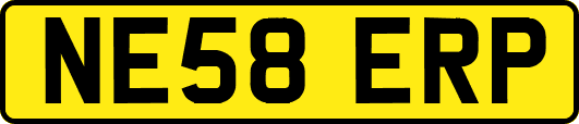 NE58ERP
