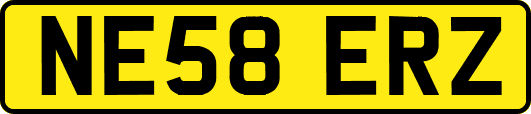 NE58ERZ
