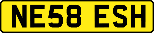 NE58ESH