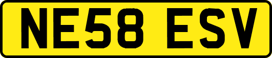 NE58ESV