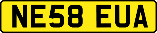 NE58EUA