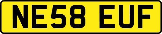NE58EUF