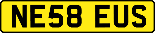 NE58EUS
