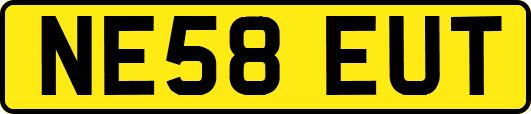 NE58EUT