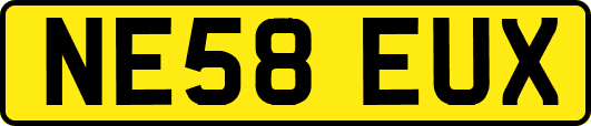 NE58EUX