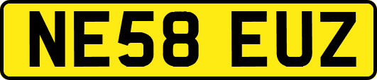 NE58EUZ